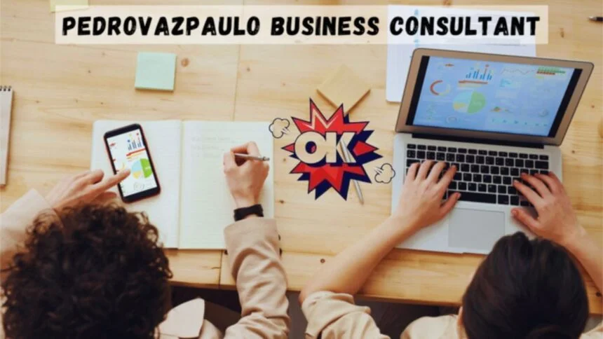 pedrovazpaulo business consultant