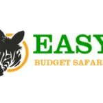 Easy Budget Safaris