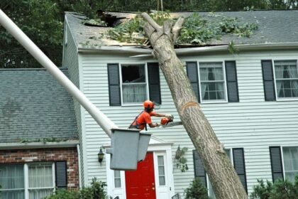 Emergency Tree Removal